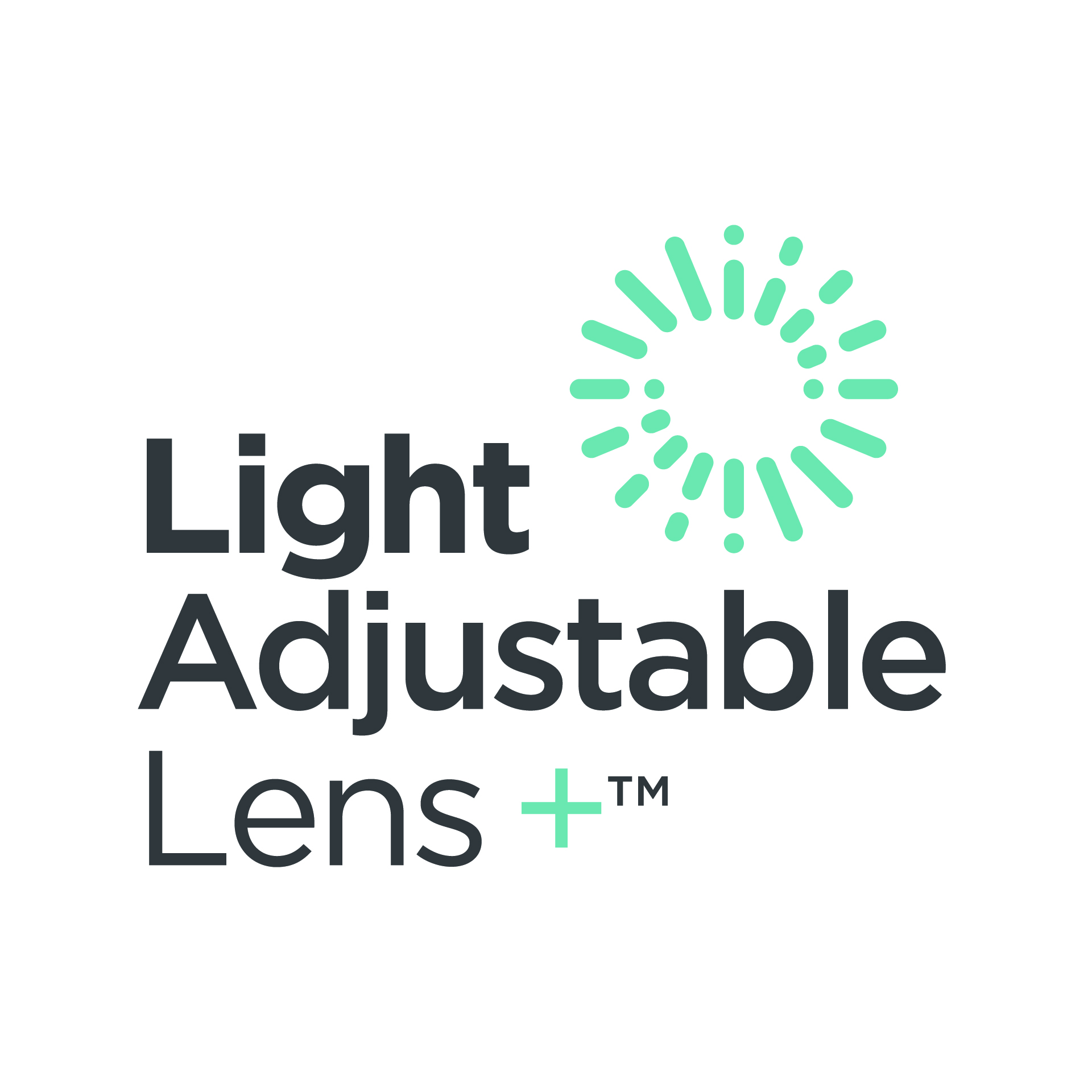 lens icon