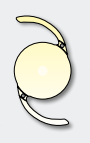 lens icon